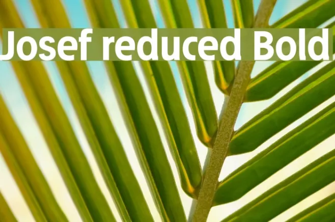 Josef reduced Bold Example 3
