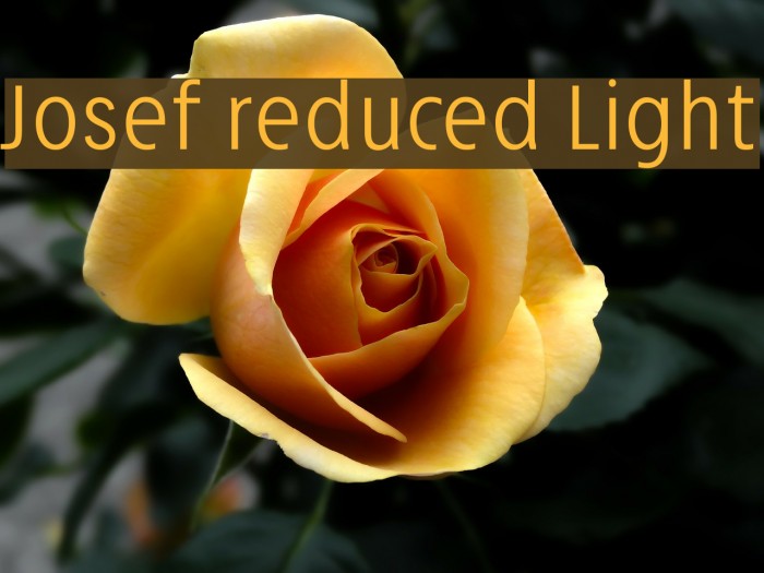 Josef reduced Light Font examples