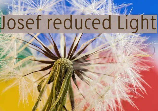 Josef reduced Light Example 3