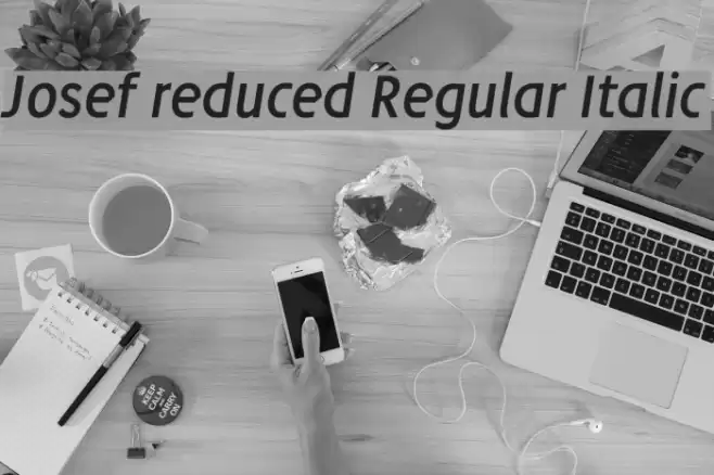 Josef reduced Regular Italic Font examples