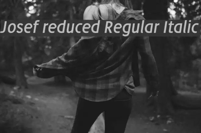Josef reduced Regular Italic Font examples