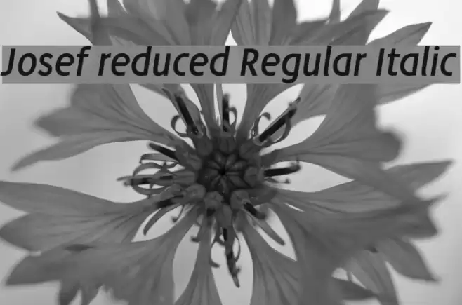Josef reduced Regular Italic Font examples