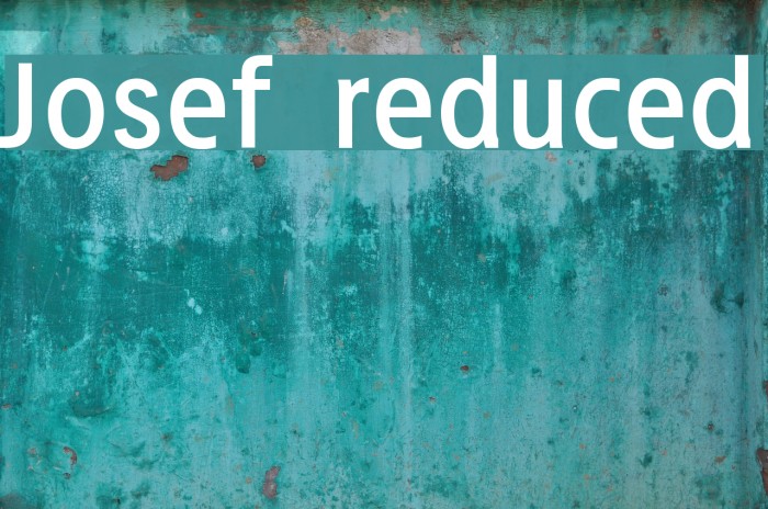 Josef reduced Example 1