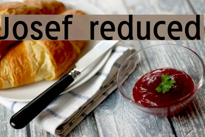 Josef reduced Example 2