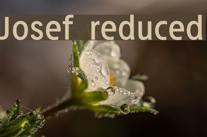 Josef reduced Example 3