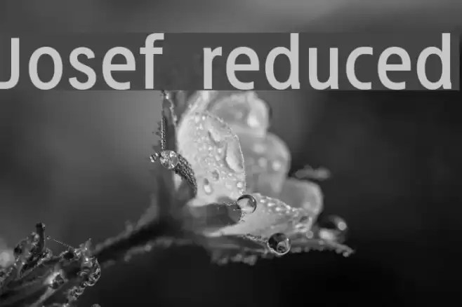 Josef reduced Font examples
