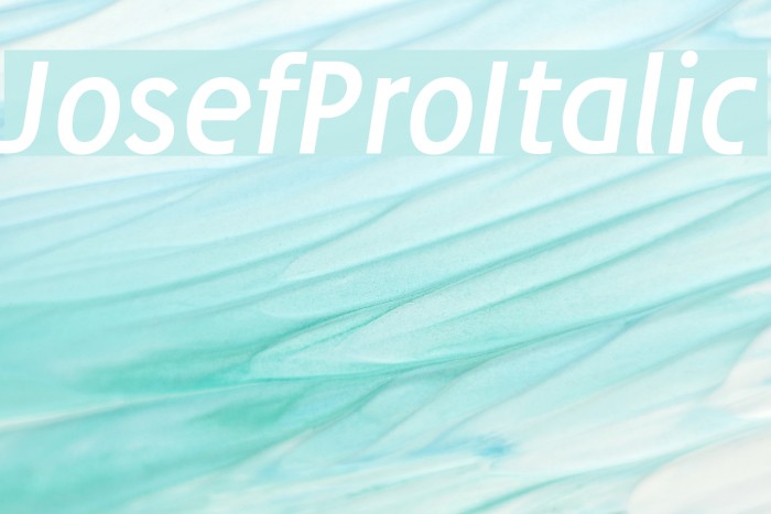 JosefPro-Italic Font examples