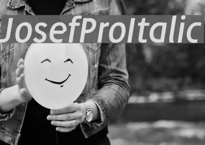 JosefPro-Italic Font examples