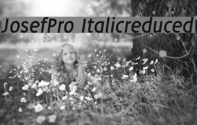 JosefPro-Italicreduced Font examples