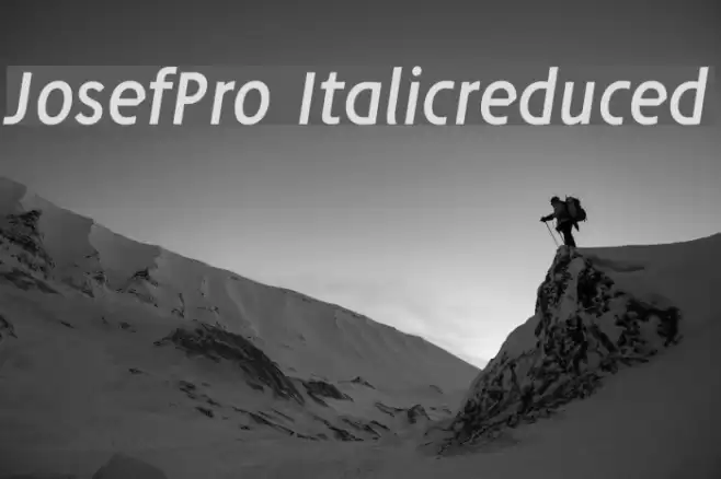 JosefPro-Italicreduced Font examples