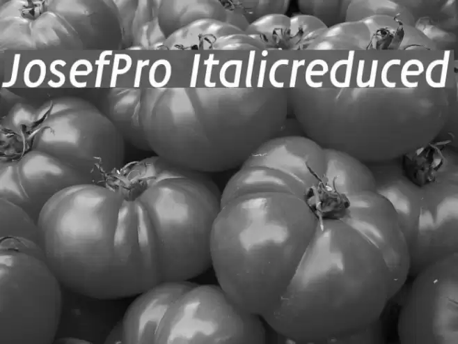 JosefPro-Italicreduced Font examples