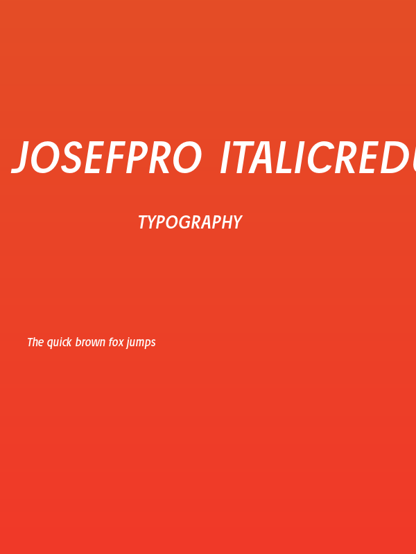 JosefPro-Italicreduced Poster