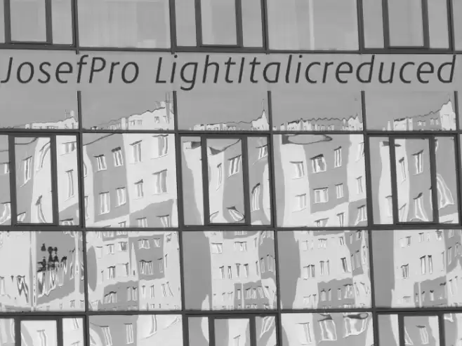 JosefPro-LightItalicreduced Font examples
