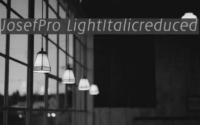 JosefPro-LightItalicreduced Font examples