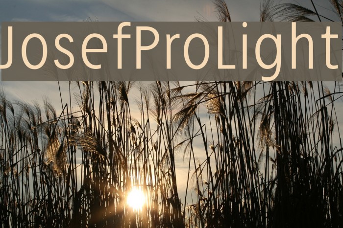 JosefPro-Light Font examples