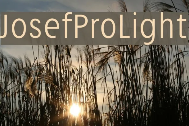 JosefPro-Light Example 1