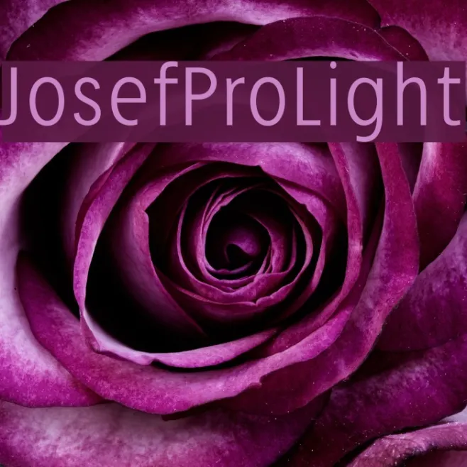 JosefPro-Light Example 2