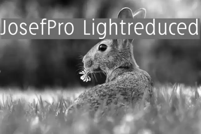 JosefPro-Lightreduced Font examples