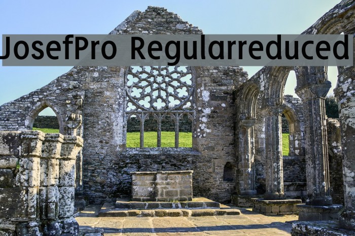 JosefPro-Regularreduced Font examples