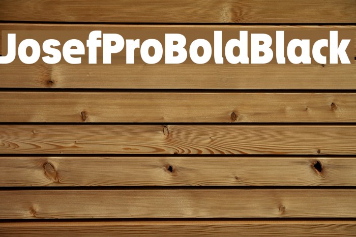 JosefProBold-Black Font examples