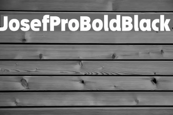 JosefProBold-Black Font examples