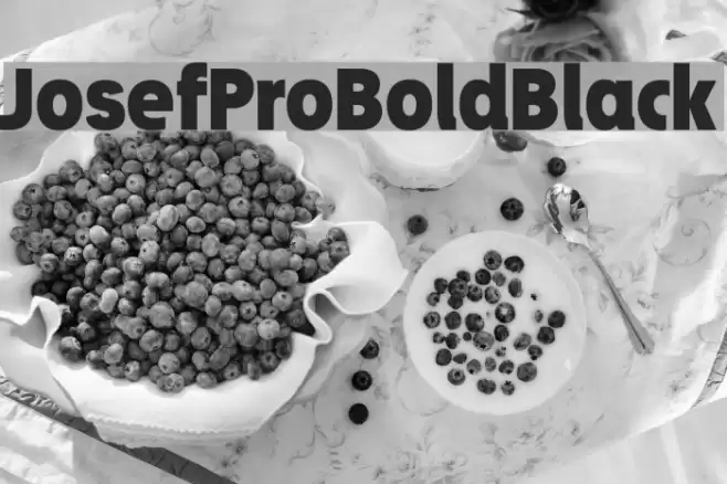 JosefProBold-Black Font examples