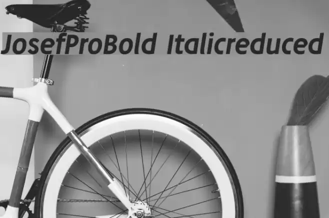 JosefProBold-Italicreduced Font examples