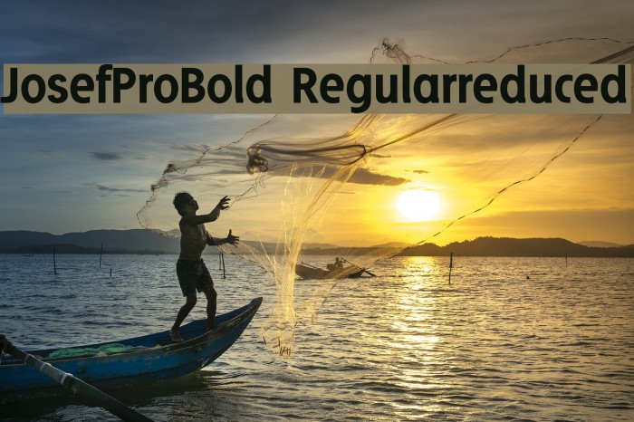 JosefProBold-Regularreduced Font examples