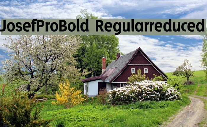 JosefProBold-Regularreduced Font examples
