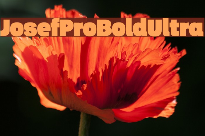 JosefProBold-Ultra Example 2