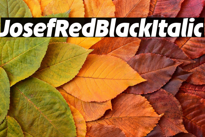 JosefRed-BlackItalic Example 1