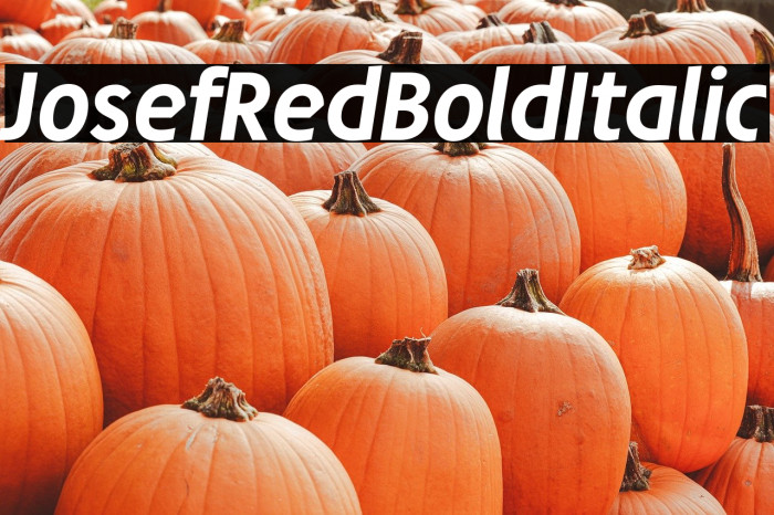 JosefRed-BoldItalic Example 2