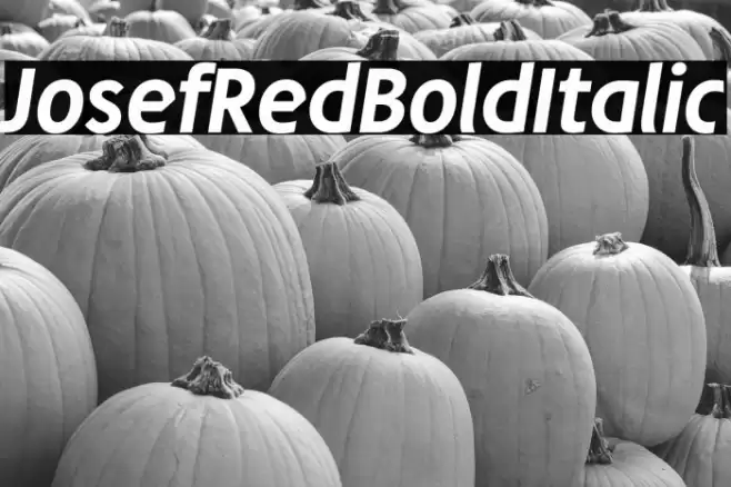 JosefRed-BoldItalic Font examples