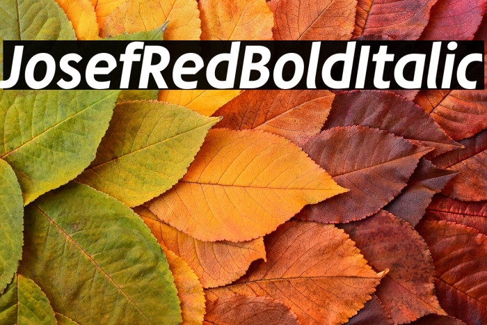 JosefRed-BoldItalic Example 3