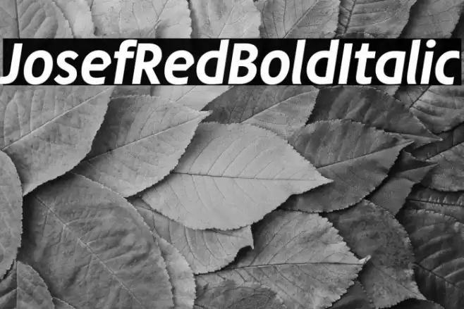 JosefRed-BoldItalic Font examples