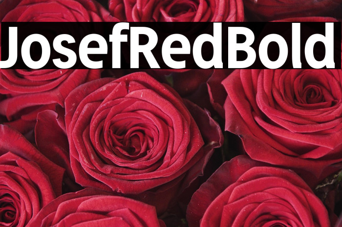 JosefRed-Bold Example 3