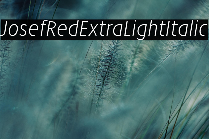 JosefRed-ExtraLightItalic Example 2