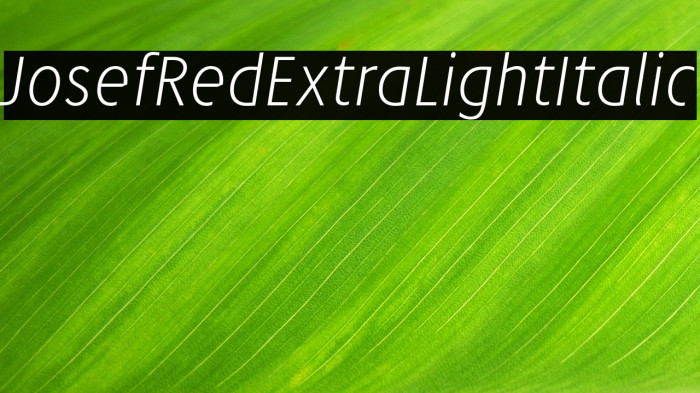 JosefRed-ExtraLightItalic Example 3