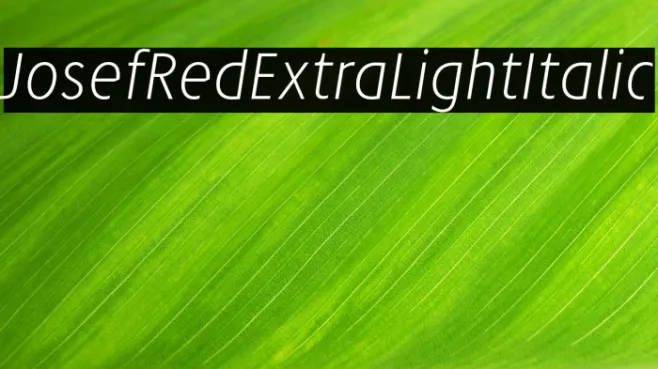 JosefRed-ExtraLightItalic Example 3