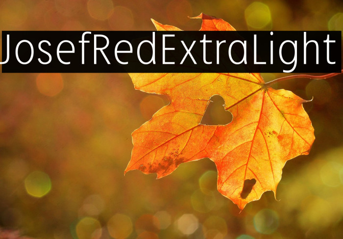 JosefRed-ExtraLight Example 2