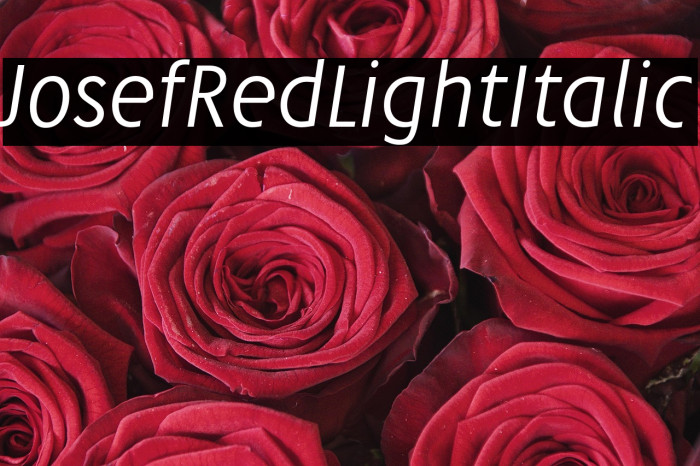 JosefRed-LightItalic Example 3