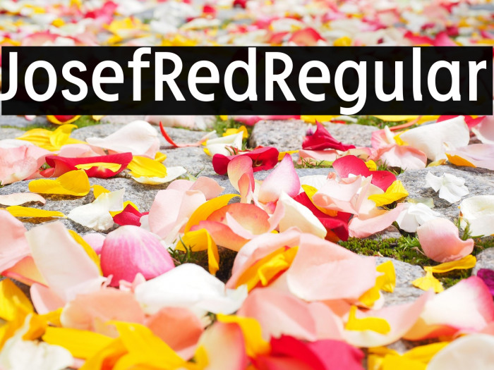 JosefRed-Regular Example 1