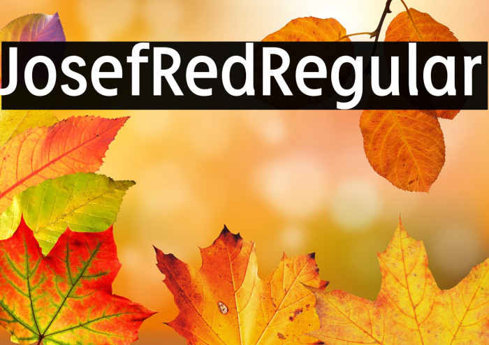 JosefRed-Regular Example 2