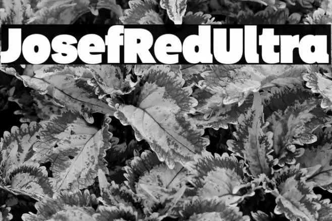 JosefRed-Ultra Font examples