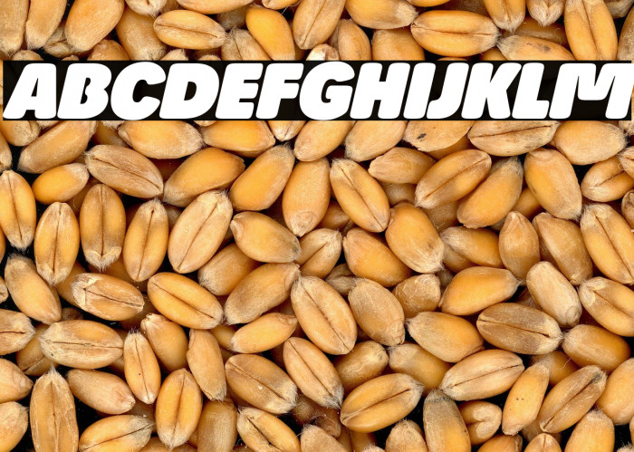 Josefa Rounded Reduced Black Italic Example 2