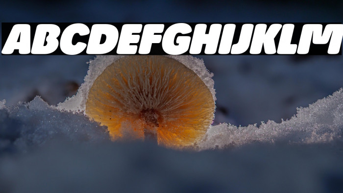 Josefa Rounded Reduced Black Italic Example 3