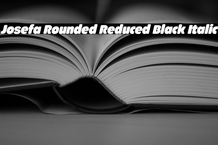 Josefa Rounded Reduced Black Italic Example 1