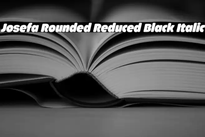 Josefa Rounded Reduced Black Italic Font examples