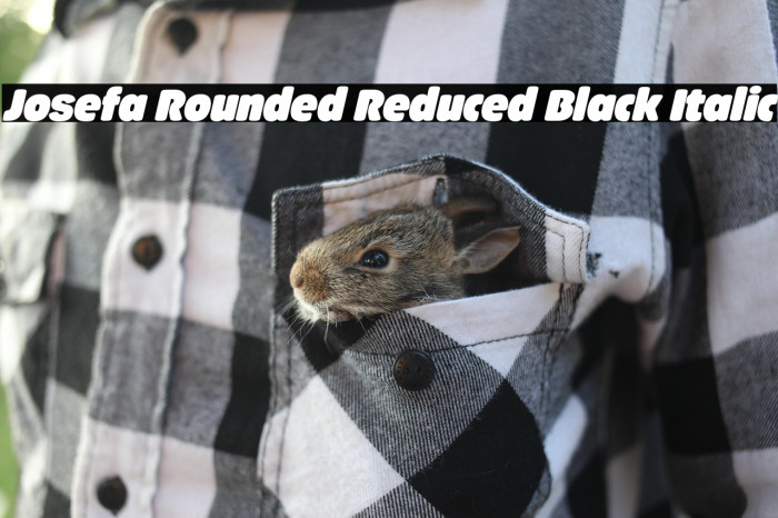 Josefa Rounded Reduced Black Italic Example 2