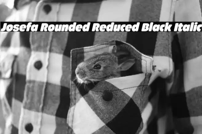 Josefa Rounded Reduced Black Italic Font examples